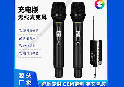 SK-900手持一拖二无线麦克风 ￥180
